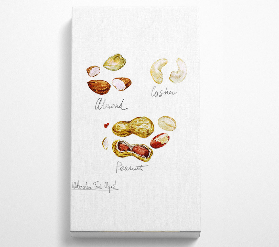  A Canvas Print of Nut Selection 3 Canvas Wall Art