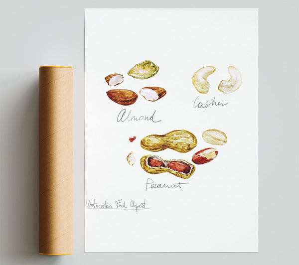Nut Selection 3 Giclee Print