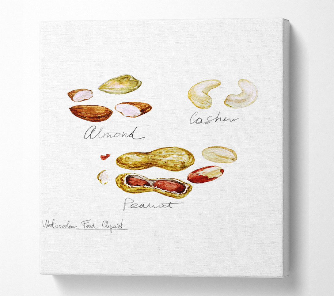  A Canvas Print of Nut Selection 3 Canvas Wall Art