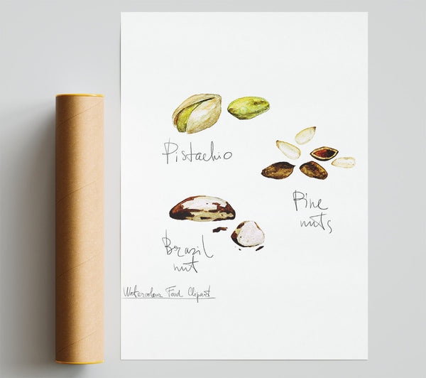 Nut Selection 2 Giclee Print