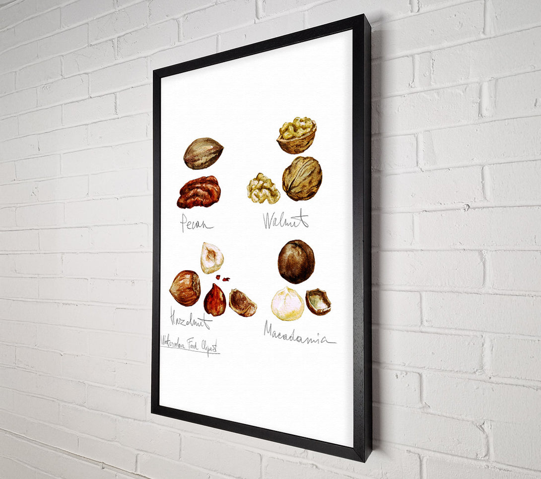  A Canvas Print of Nut Selection 1 Canvas Wall Art