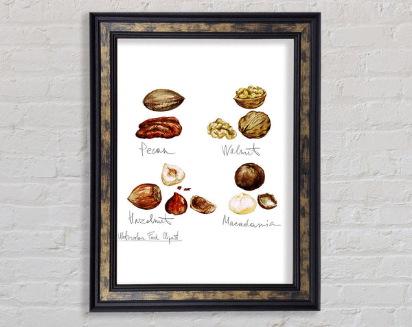 Nut Selection 1 Framed Print