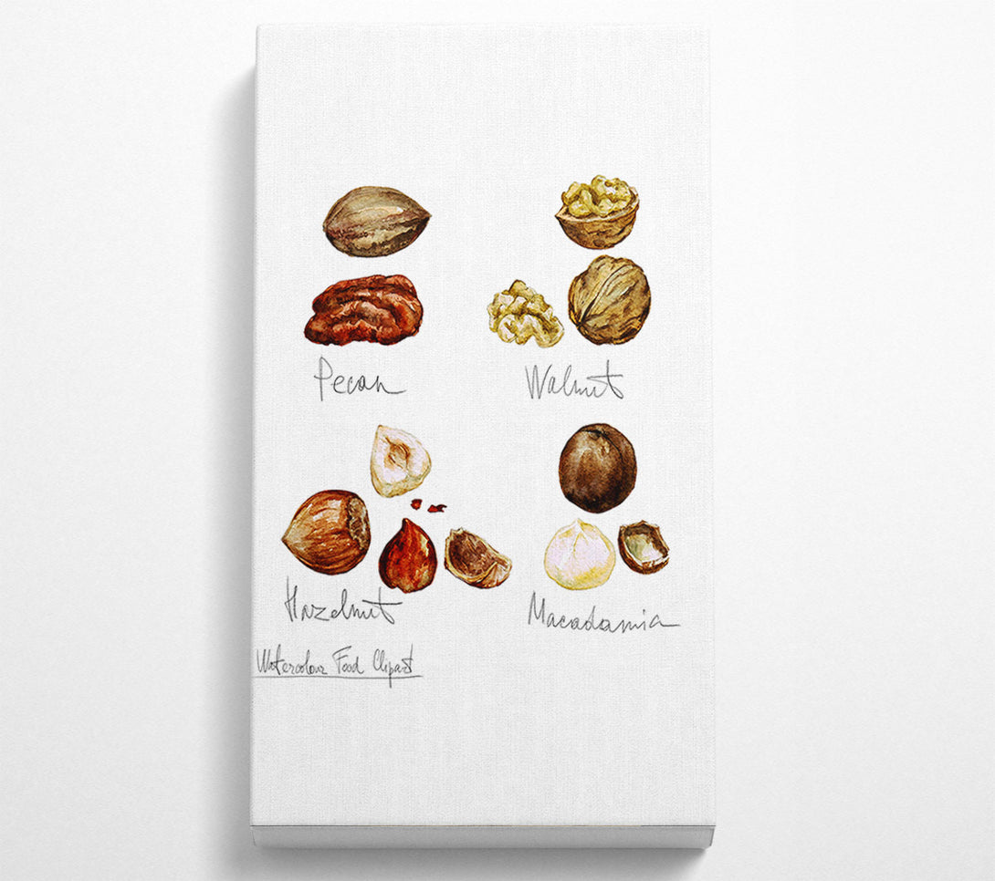  A Canvas Print of Nut Selection 1 Canvas Wall Art