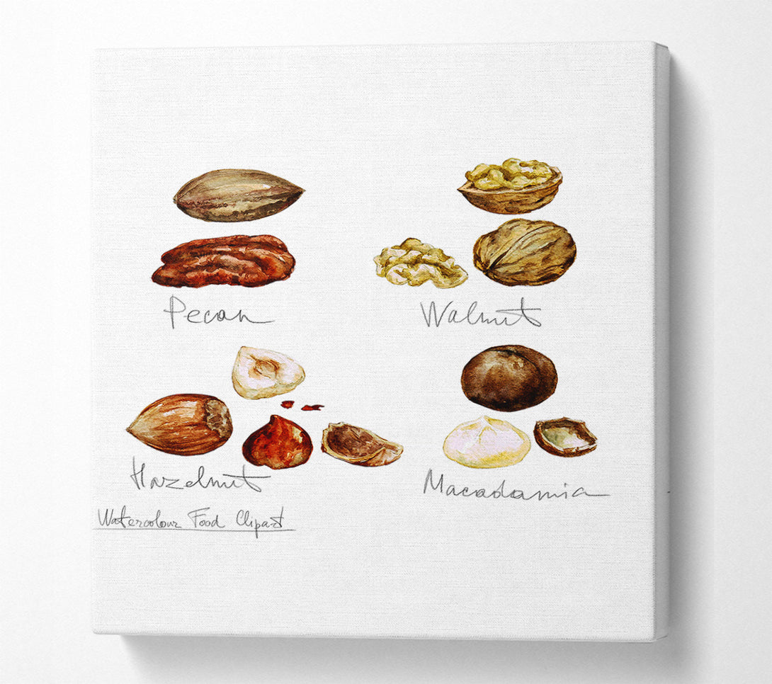  A Canvas Print of Nut Selection 1 Canvas Wall Art