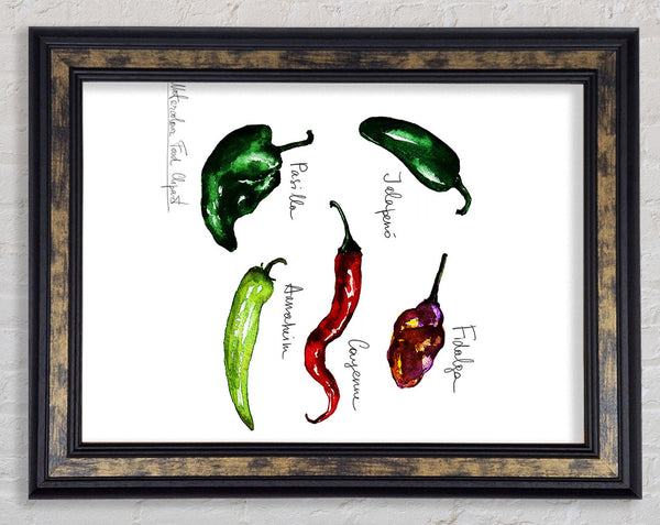Chili Names Framed Print