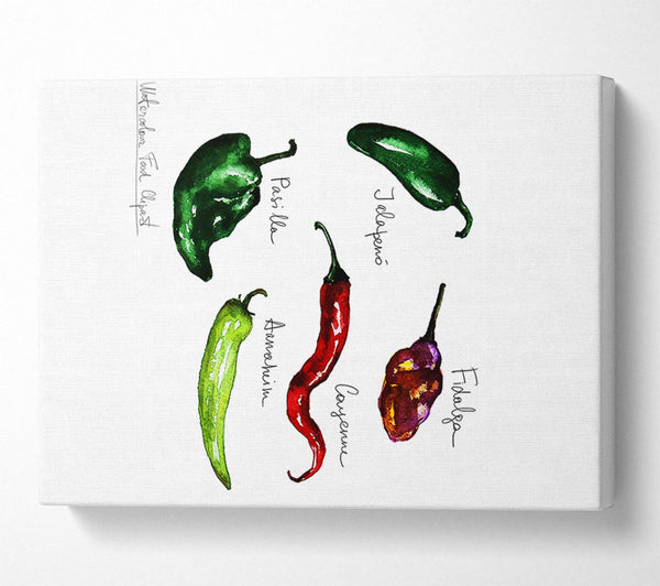  A Canvas Print of Chili Names Canvas Wall Art