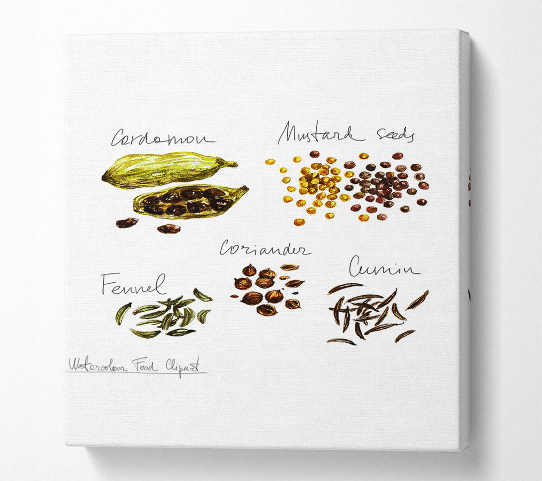  A Canvas Print of Spice Selection 1 Canvas Print