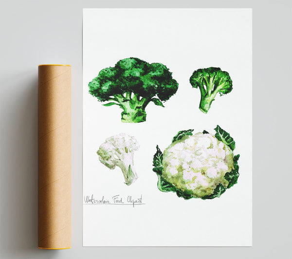 Cauliflower And Broccoli Giclee Print