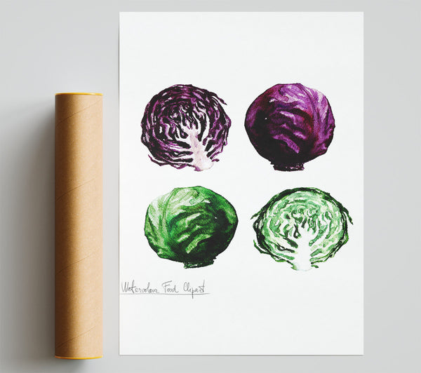 Red And Green Cabbage Giclee Print