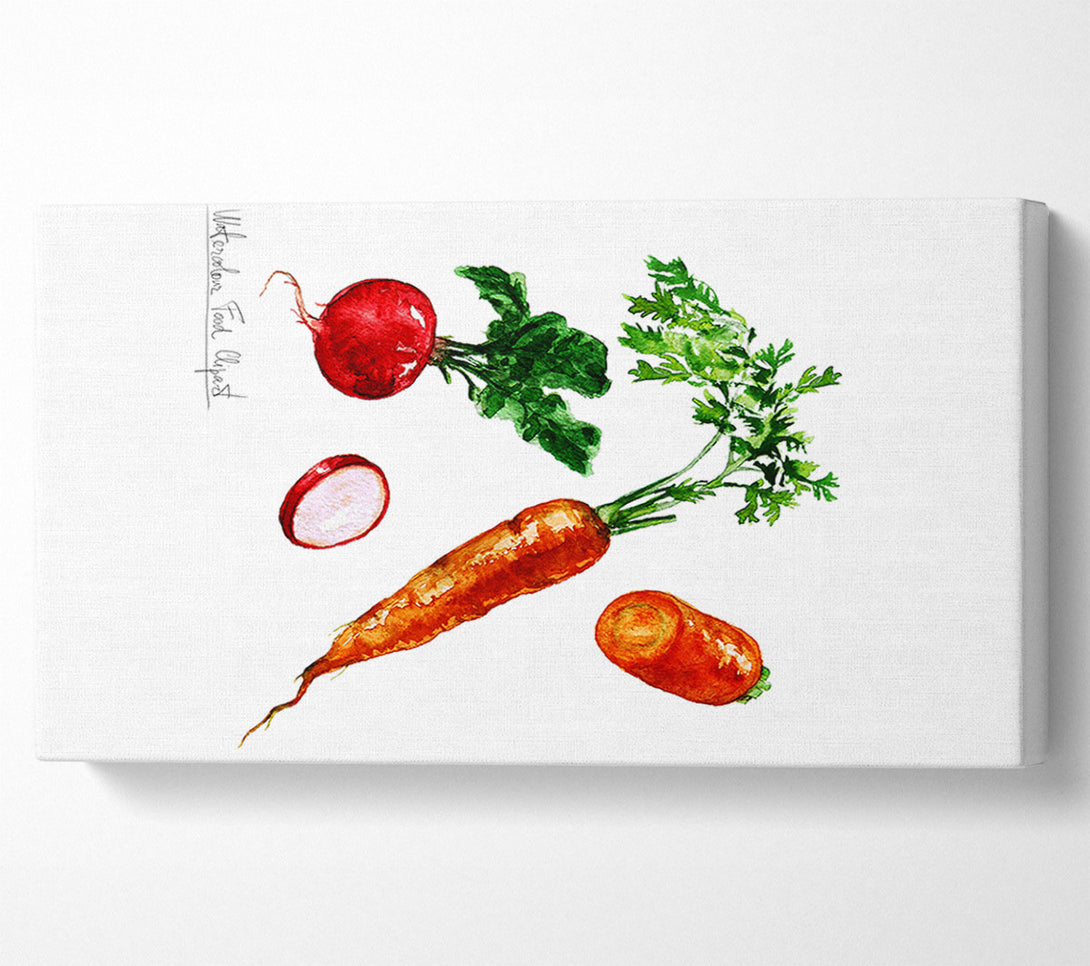  A Canvas Print of Radish And Carrots Canvas Print