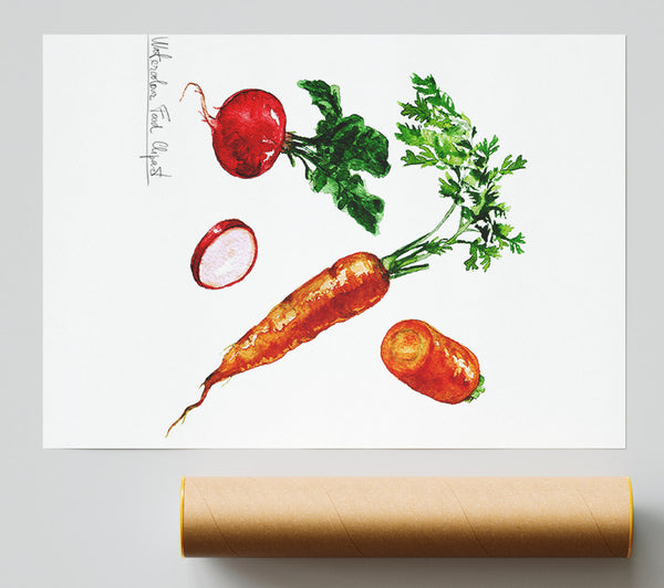 Radish And Carrots Poster