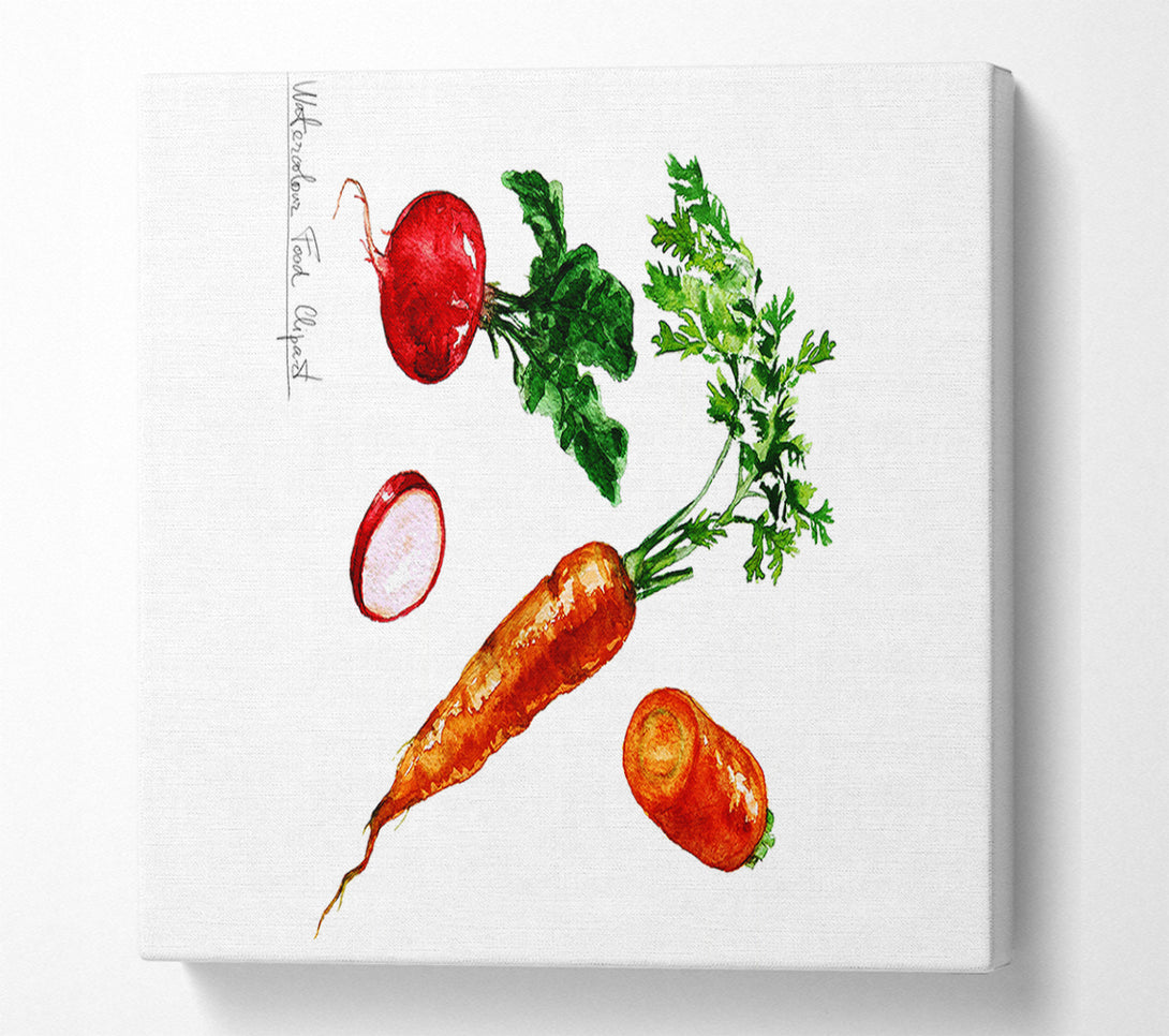  A Canvas Print of Radish And Carrots Canvas Print