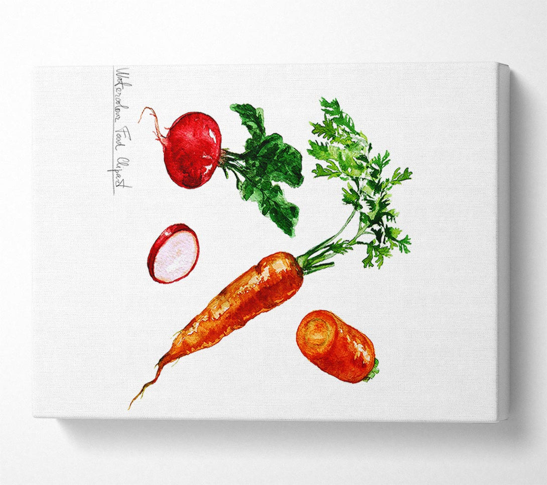  A Canvas Print of Radish And Carrots Canvas Print