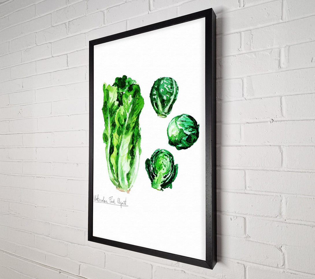  A Canvas Print of Cabbage Canvas Wall Art