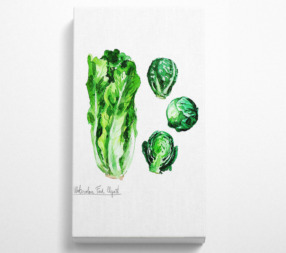  A Canvas Print of Cabbage Canvas Wall Art