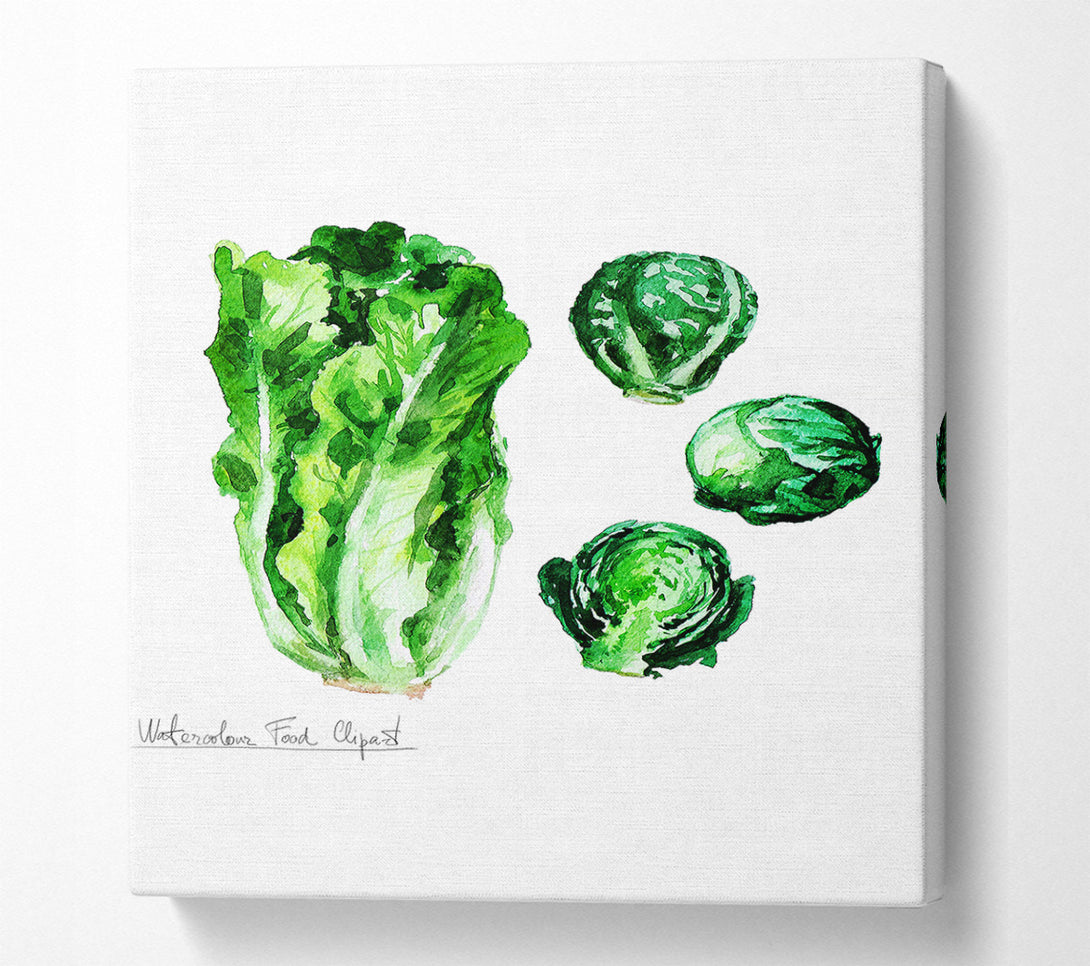  A Canvas Print of Cabbage Canvas Wall Art