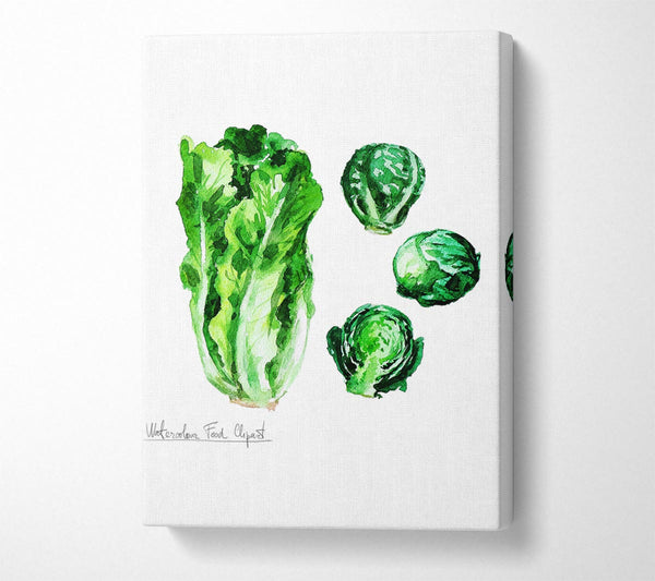  A Canvas Print of Cabbage Canvas Wall Art