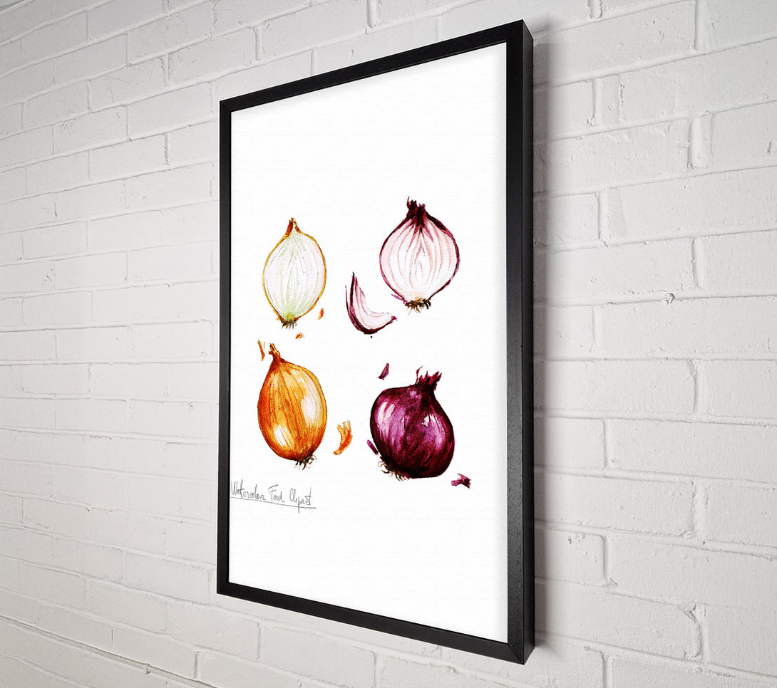  A Canvas Print of Onions Canvas Wall Art