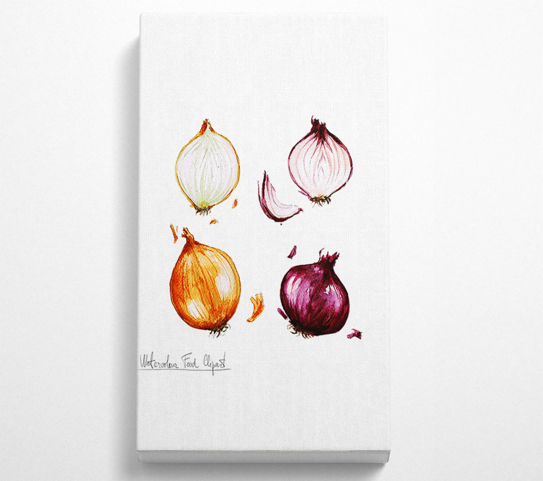  A Canvas Print of Onions Canvas Wall Art