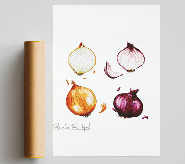 Onions Print