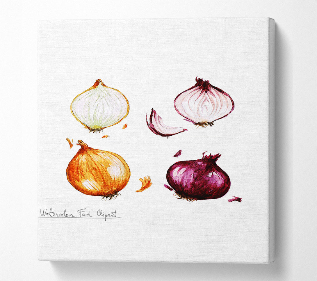  A Canvas Print of Onions Canvas Wall Art