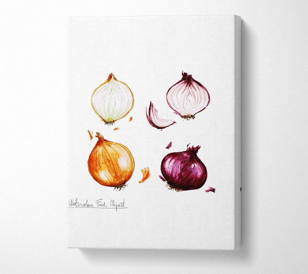  A Canvas Print of Onions Canvas Wall Art