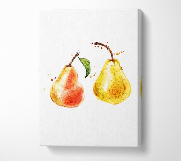  A Canvas Print of Pear Duo 1 Canvas Wall Art