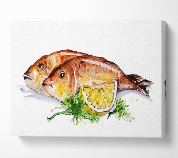  A Canvas Print of Lemon Sole Canvas Print