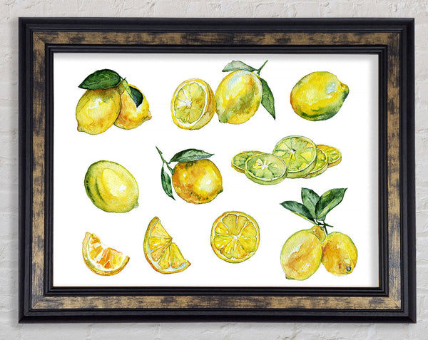 Just Lemons Framed Print