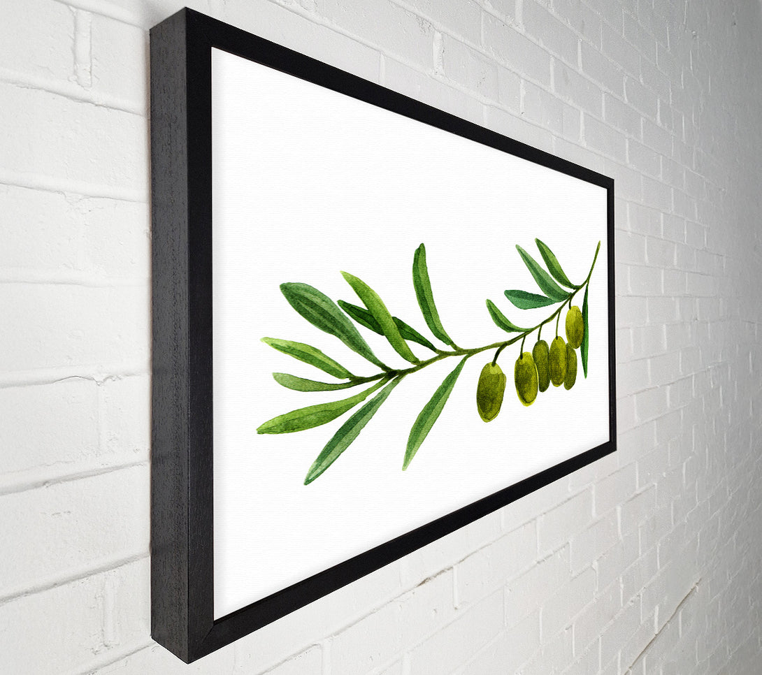  A Canvas Print of Olive Branch Canvas Art