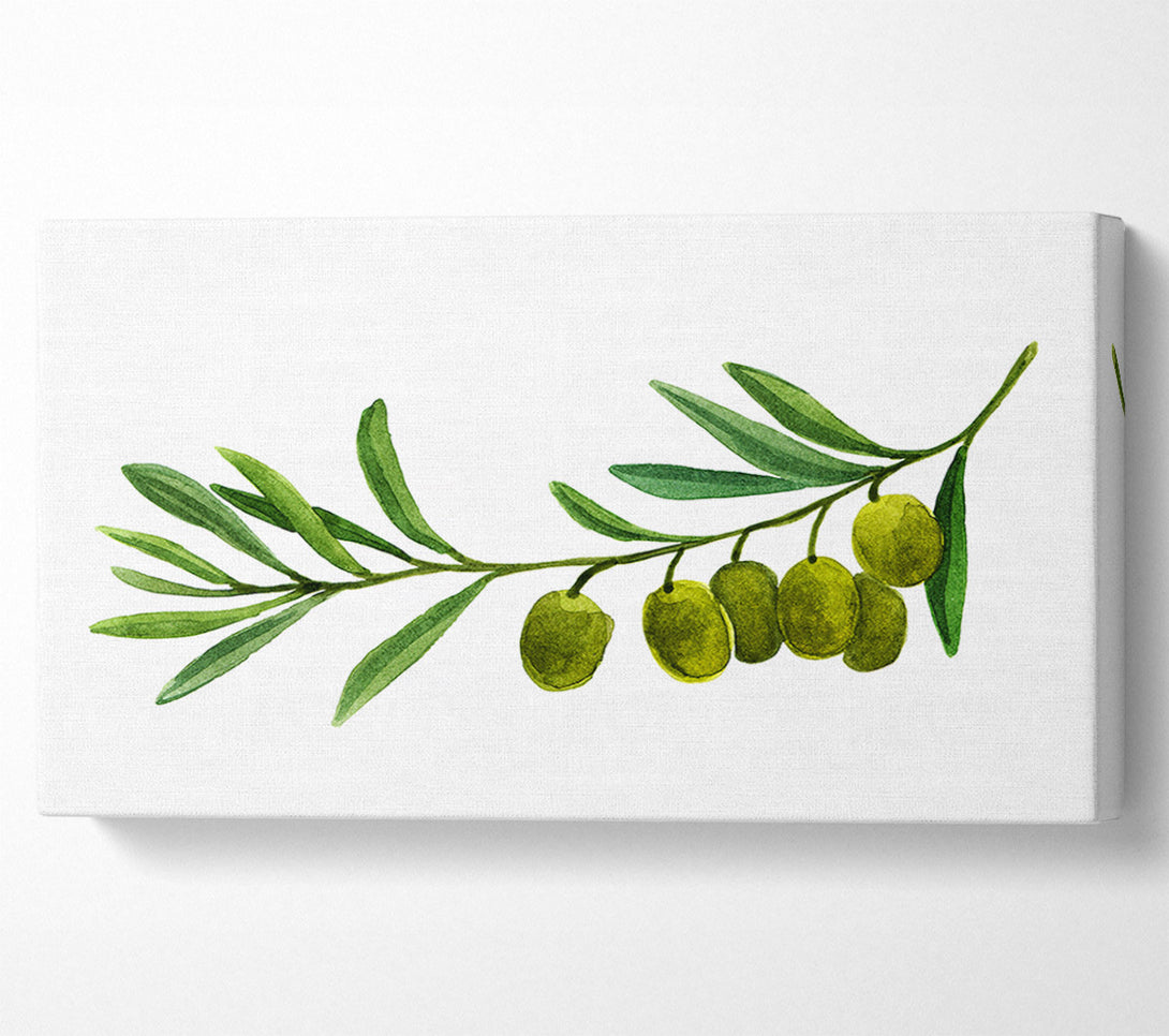  A Canvas Print of Olive Branch Canvas Art