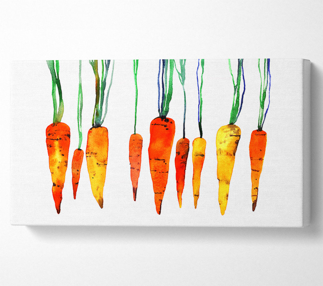  A Canvas Print of Dangling Carrots Canvas Art