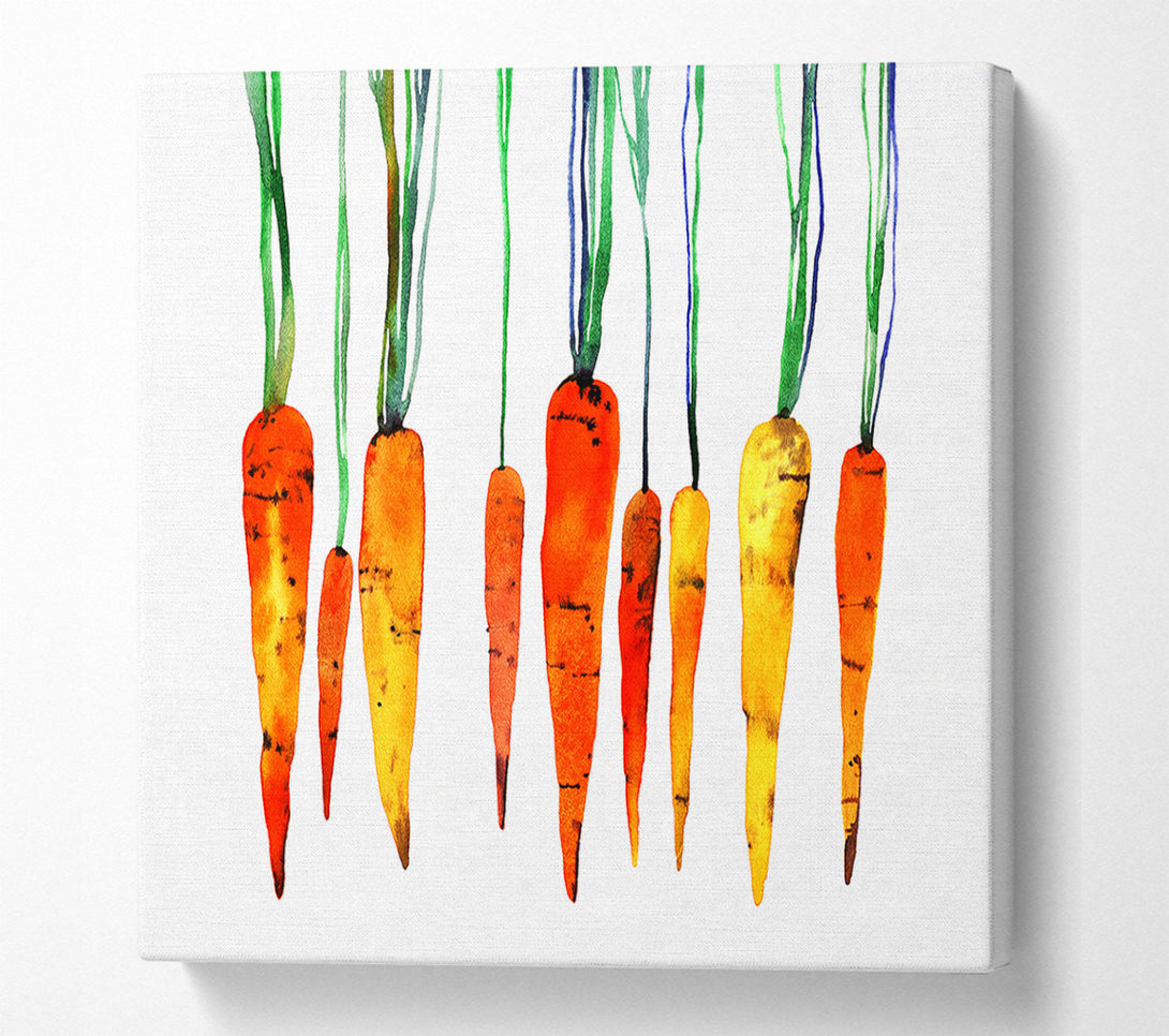  A Canvas Print of Dangling Carrots Canvas Art