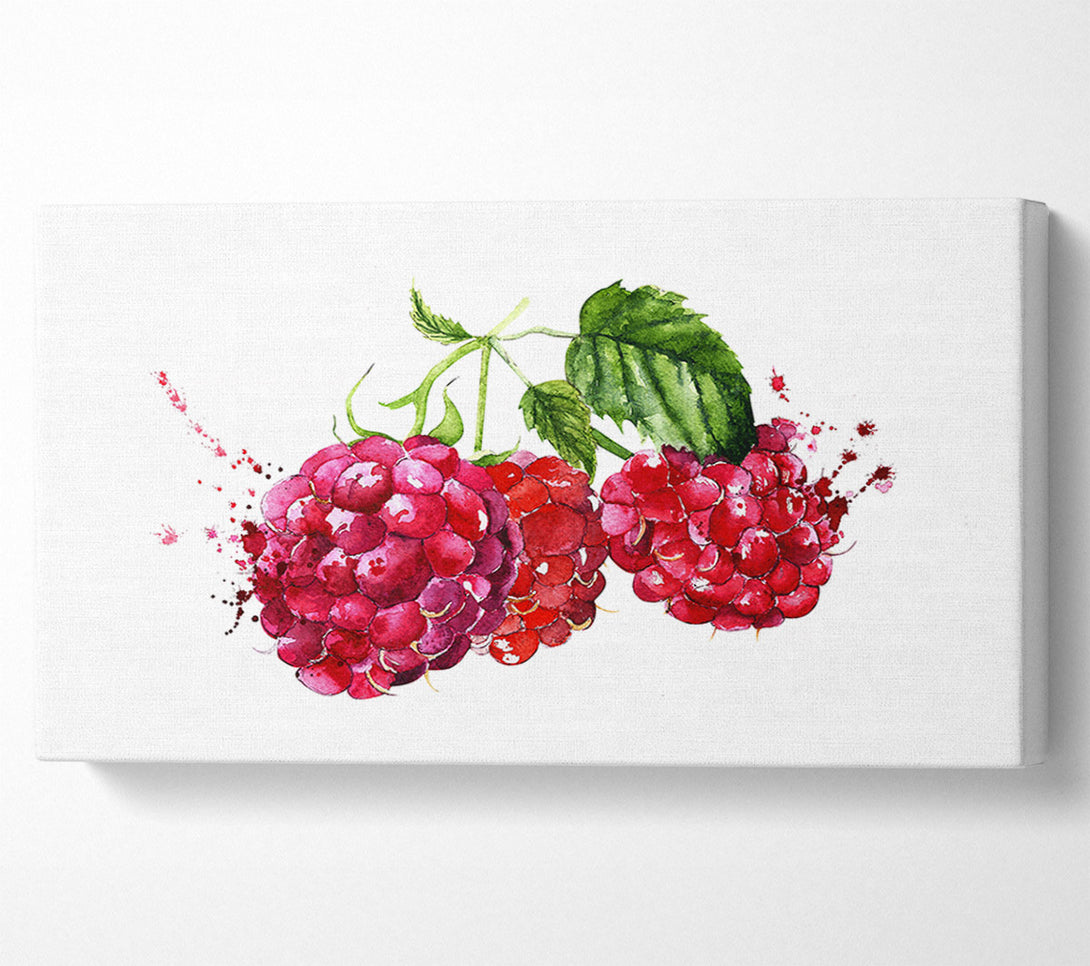  A Canvas Print of Raspberry Trio Canvas Wall Art