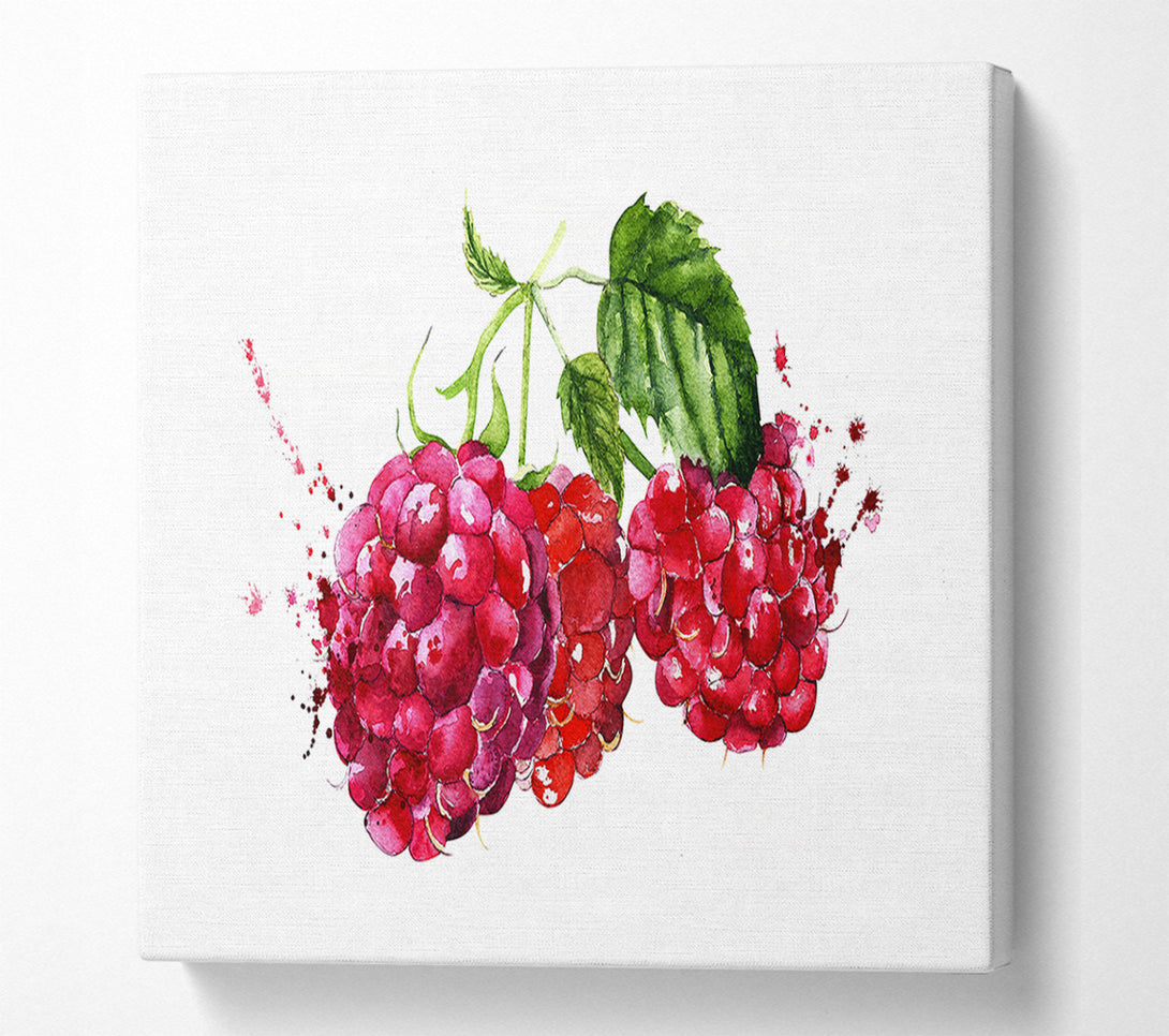  A Canvas Print of Raspberry Trio Canvas Wall Art