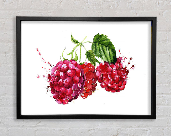 Raspberry Trio Framed Print