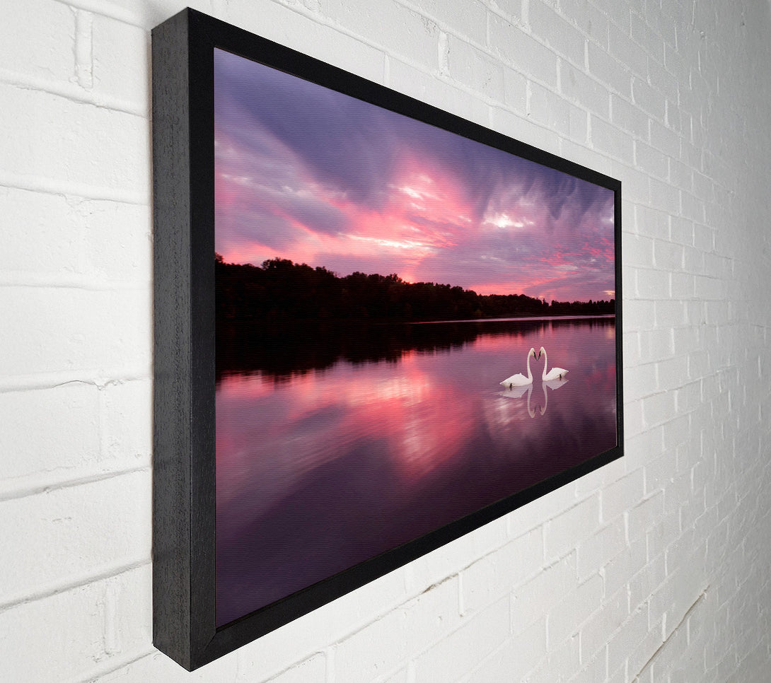  A Canvas Print of Perfect Swan Waters Canvas Print