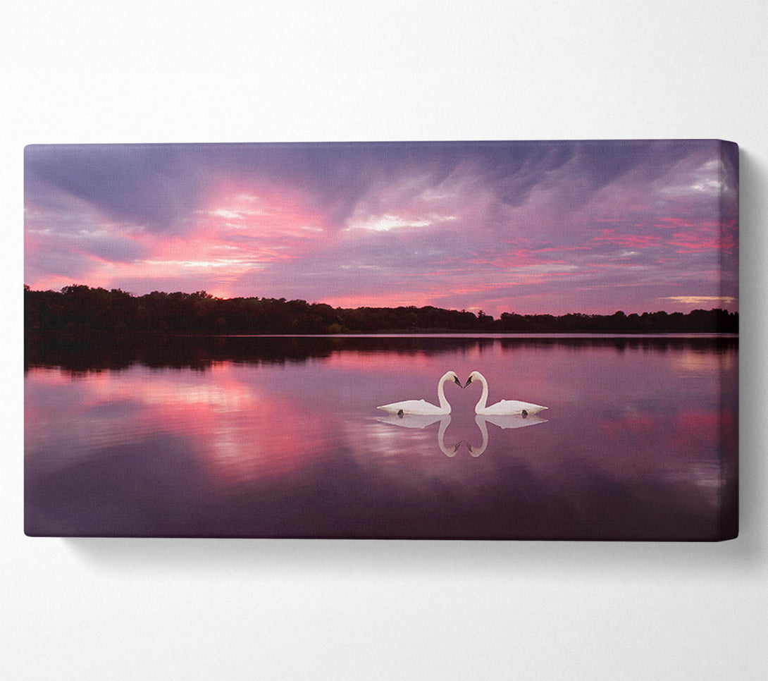  A Canvas Print of Perfect Swan Waters Canvas Print