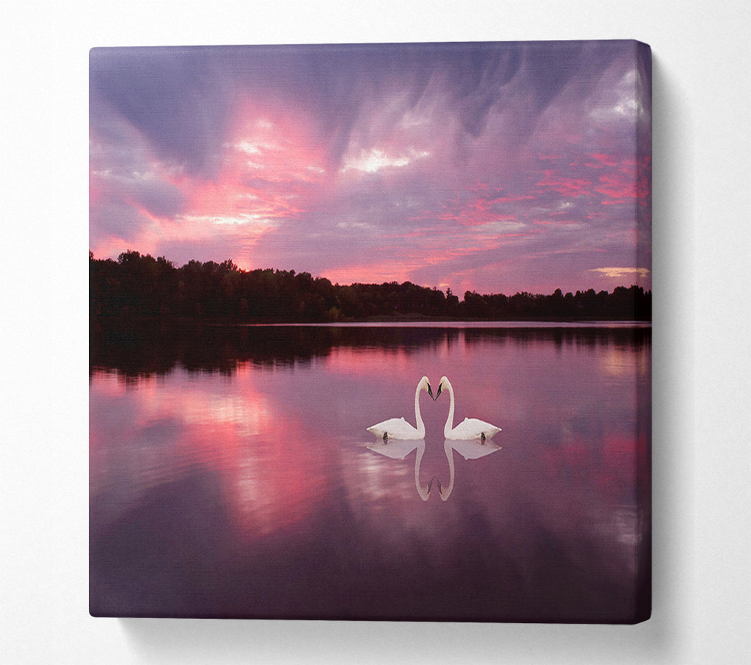  A Canvas Print of Perfect Swan Waters Canvas Print