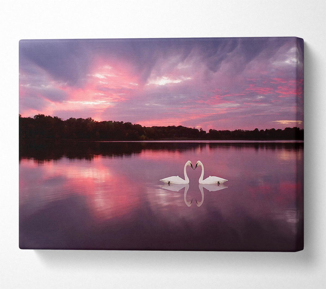  A Canvas Print of Perfect Swan Waters Canvas Print