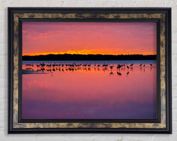 Pink Bird Paradise Framed Print