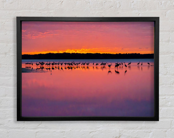 Pink Bird Paradise Framed Print