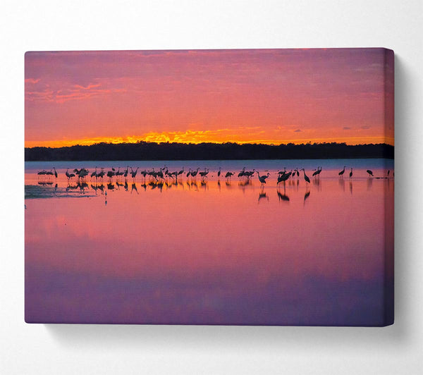  A Canvas Print of Pink Bird Paradise Canvas Wall Art