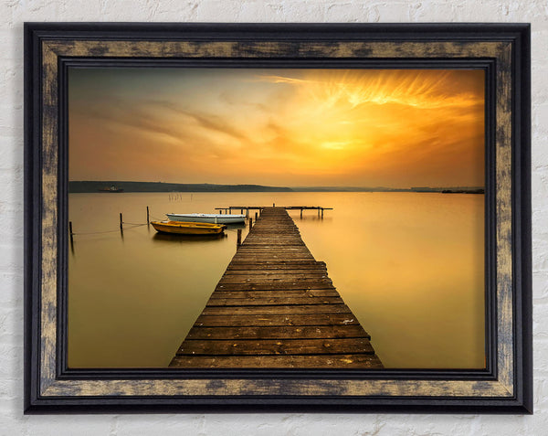 Golden Beauty Framed Print