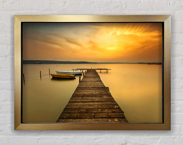 Golden Beauty Framed Print