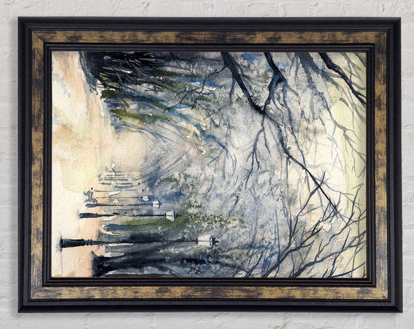 Tree Canopy Walk Framed Print