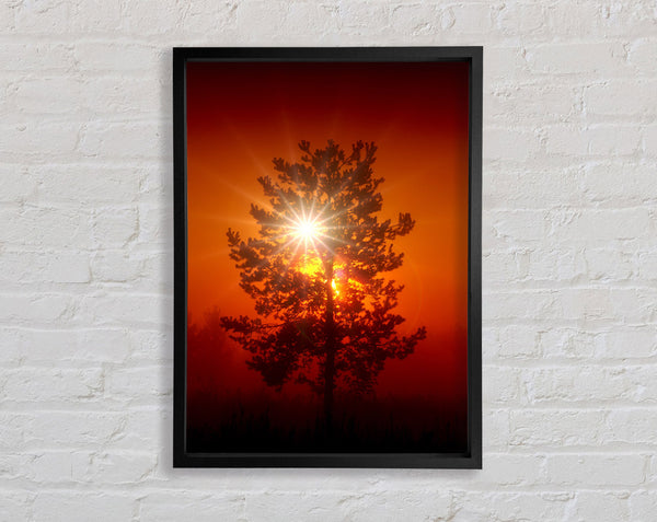 Orange Skies Framed Print