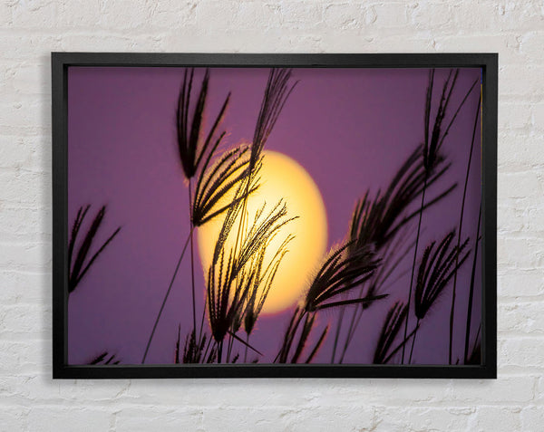Yellow Sun In The Purple Sky Framed Print