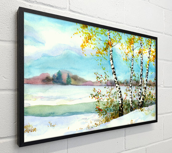 Silver Birch Winter