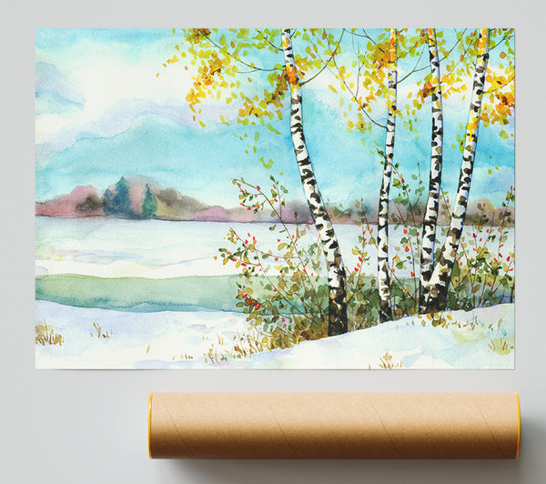 Silver Birch Winter Print